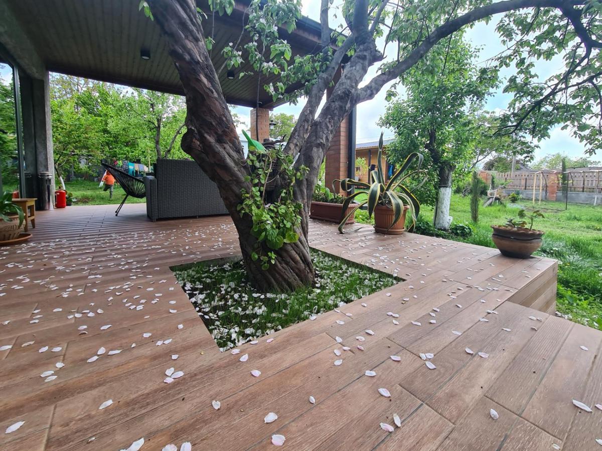 Savanna Guest House Dedoplis Tskaro Kültér fotó